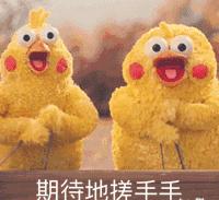 菊花宝典特性,菊花宝典又名桃花宝典