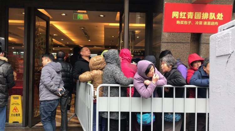 青团比拼,青团大战老字号