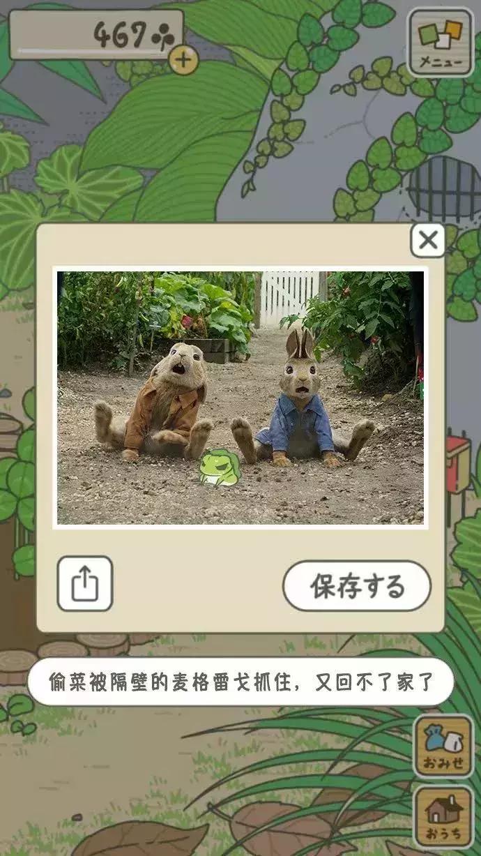 看完比得兔我们能感受到什么变化,看比得兔你学到了什么