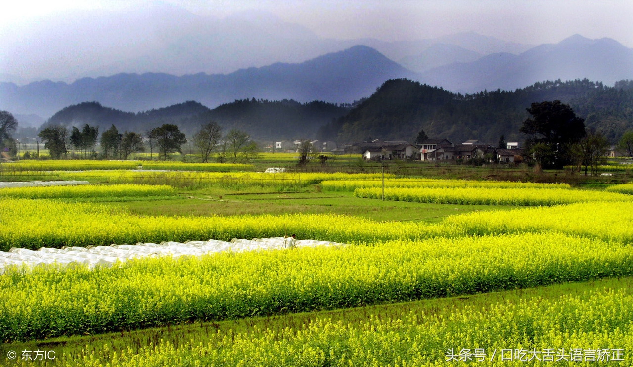 大舌头绕口令练习,绕口令锻炼唇舌力度纠正错误发音