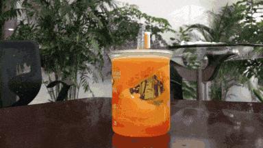 孩子吃了泡腾片怎么办,孩子吃泡腾片窒息而亡