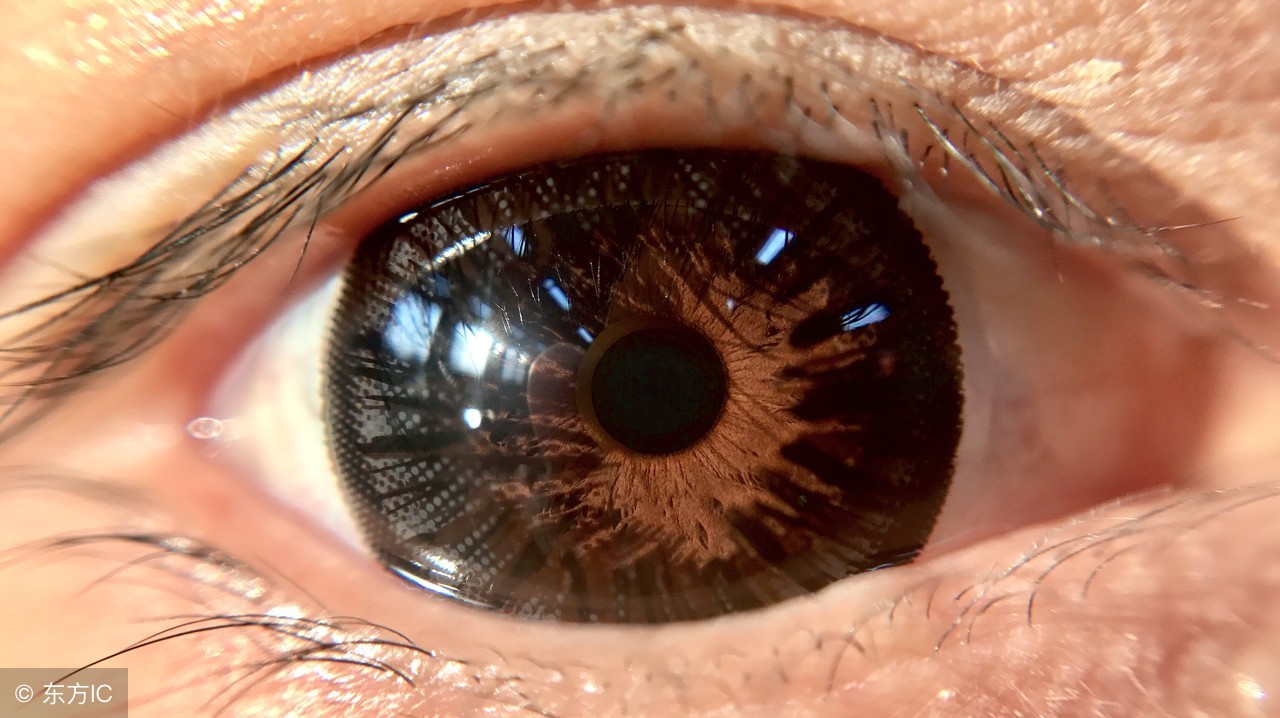 你不知道的眼科小知识,你所不知道的近视小常识