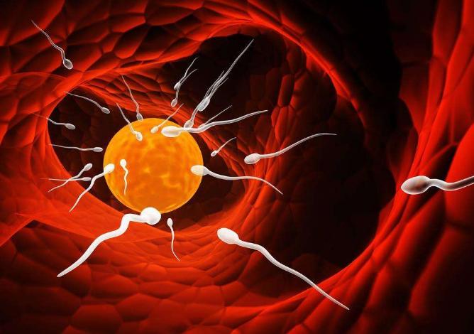 易孕体质四十岁容易怀孕吗,女人有这五种情况容易怀孕