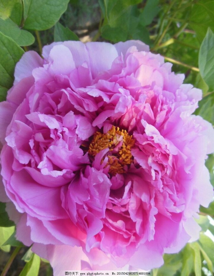 今天29，打开就能幸福久久！幸福相册！请收下给你的祝福哦