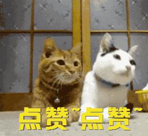 被外国人曝光的假货,央视曝光海外假货