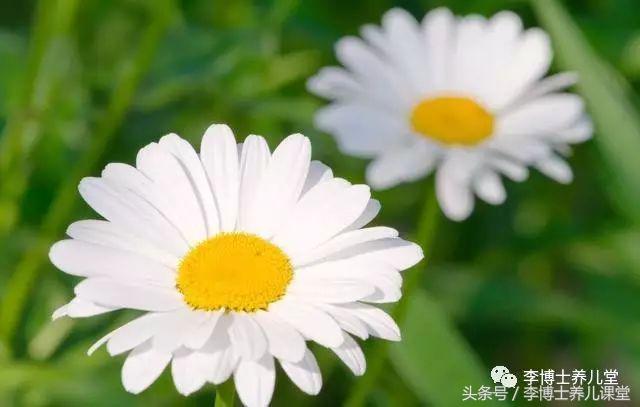 这个动作看似简单其实很累,男人的练习动作