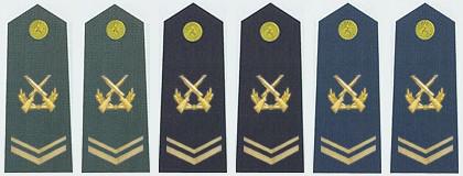 中国军衔和军官资历大全,中国的军官军衔等级