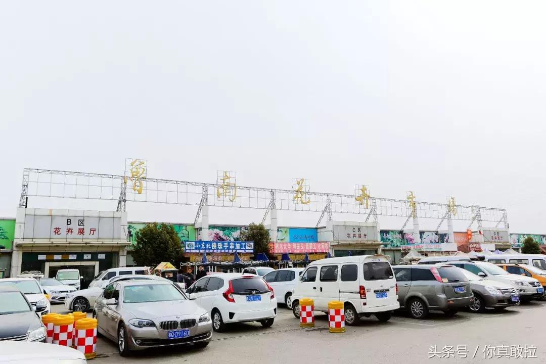 临沂各个批发市场经营类目,临沂批发市场的货怎么批发