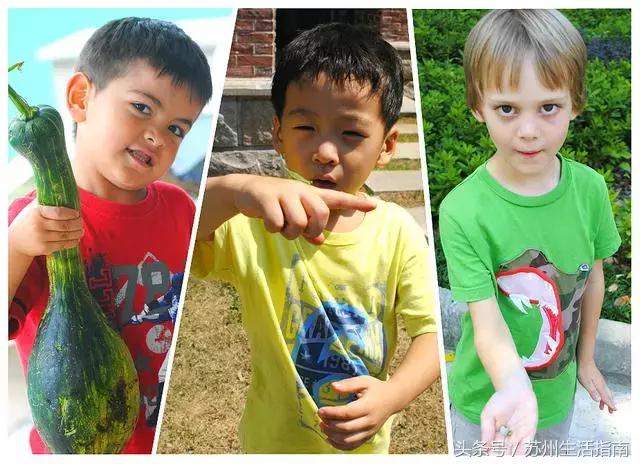 苏州各区幼儿园收费名单,公办幼儿园涨价