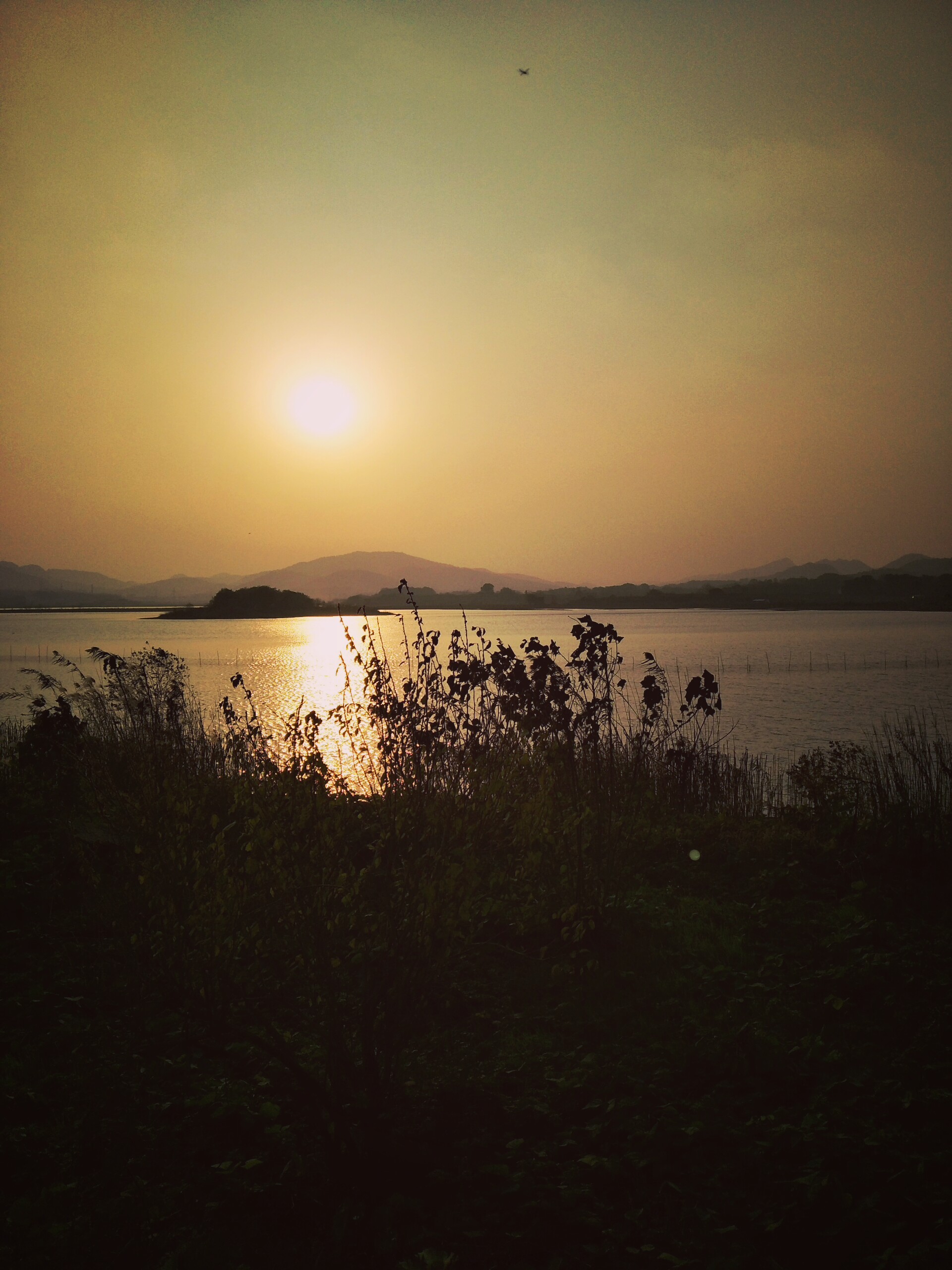 三阳飞度fiddle3摩托车,三阳摩托fiddle3