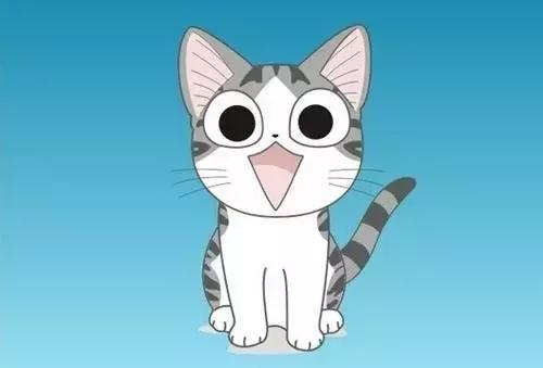 感觉自己养了一只猫是假猫 (你会觉得自己养了一只假猫吗)