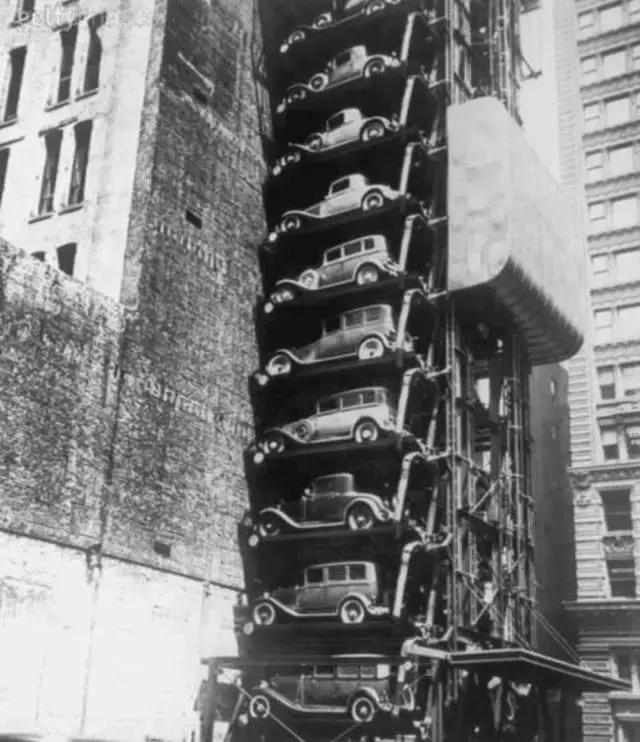 相信我，这一定是朋友圈里最珍贵的照片！