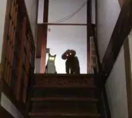 8岁小孩偷家里钱的原因,10岁孩子偷家里的钱还满嘴谎言