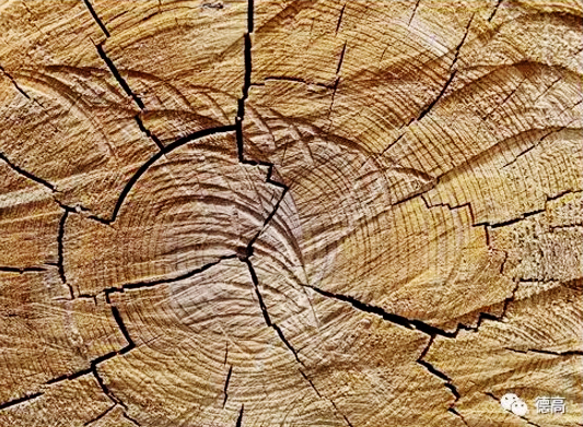 德高填缝和美缝怎么选,德高填缝剂填缝怎么样