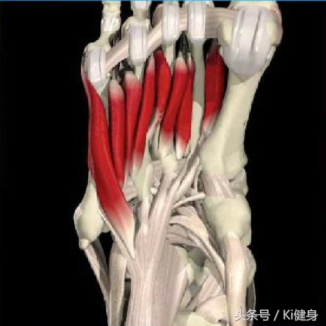 足部运动学解剖，总是莫名其妙疼？（下篇）开脑洞