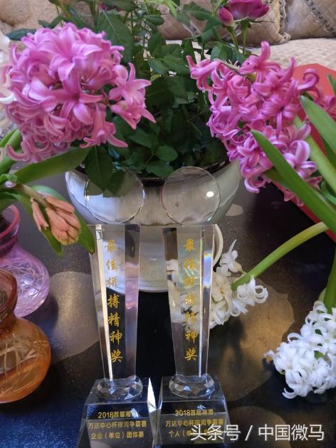 湘潭联合拔河比赛,湘潭拔河比赛