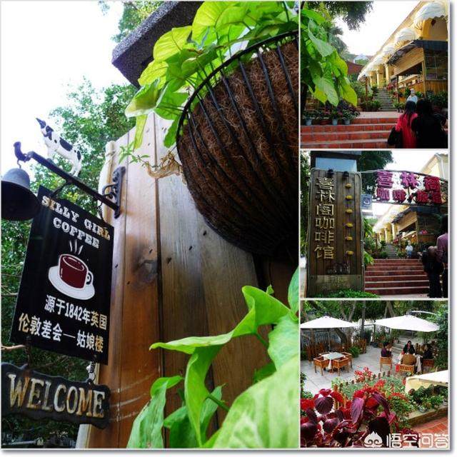 鼓浪屿民宿推荐靠近码头,喜欢鼓浪屿的小店