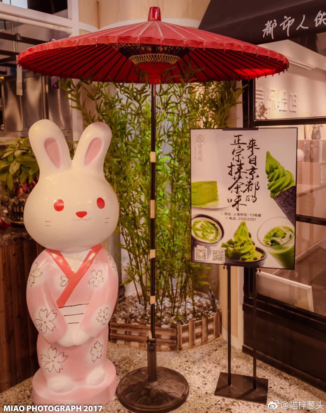 日本最火爆的网红店,深圳新开的网红店