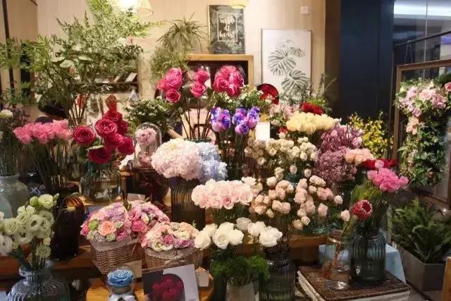 厦门奇怪的花店,厦门比较有名的绿植花店