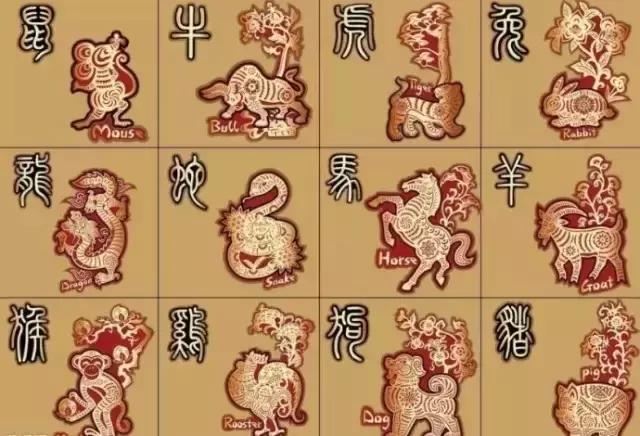 十二属相阴阳命速查表,十二属相各是什么命