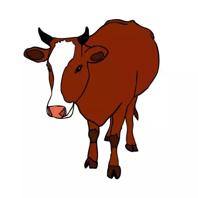 十二属相各是什么命,十二属相阴阳命速查表