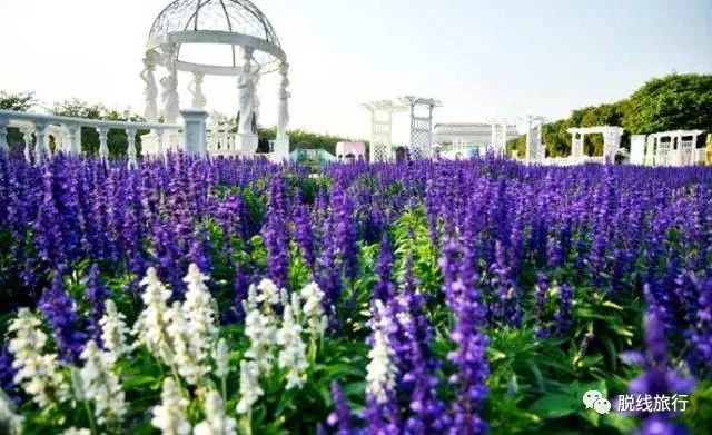 一秒钟搞定“花痴”攻略，别说我没帮你~