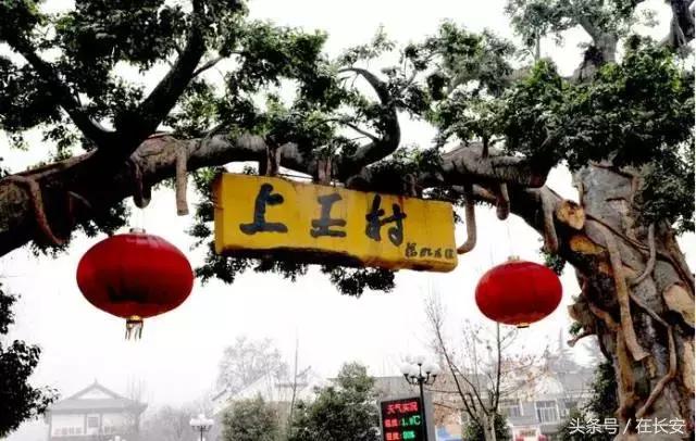 西安长安挖野菜最好的地方,长安哪里挖野菜好吃