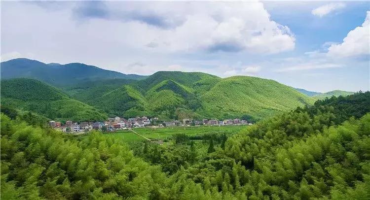 青春旅社的民宿多少钱,青春旅社是哪个民宿