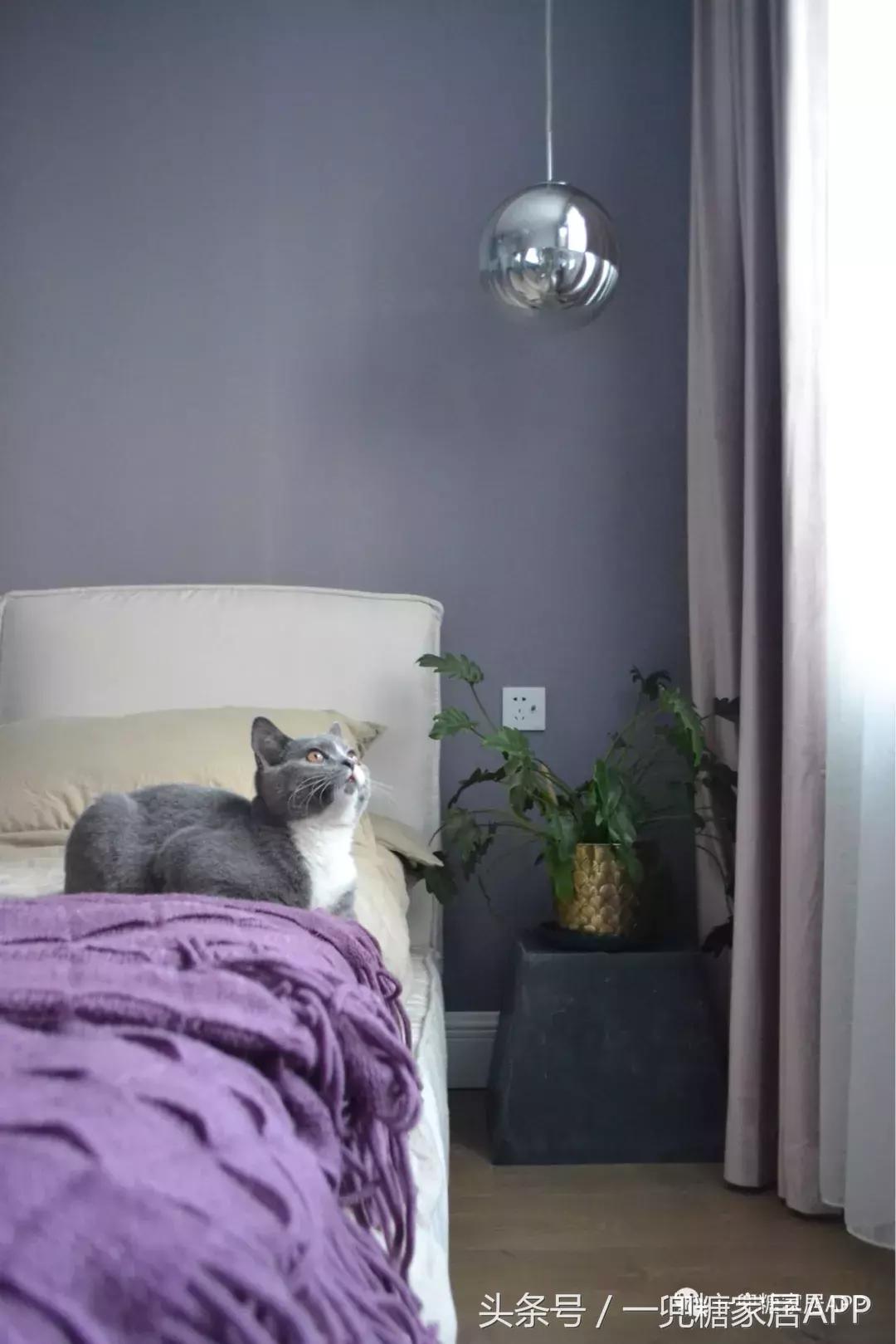 没有主灯无吊顶,不做吊顶也可有灯