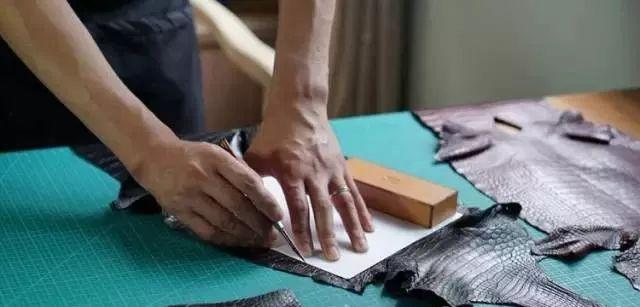 怎样辨别鳄鱼皮具,鳄鱼皮具最新视频