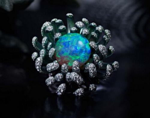 五彩缤纷的宝石图片,五彩缤纷的宝石