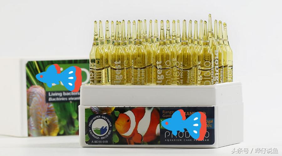 硝化细菌对观赏鱼有什么作用,宠物鱼硝化细菌怎么培养