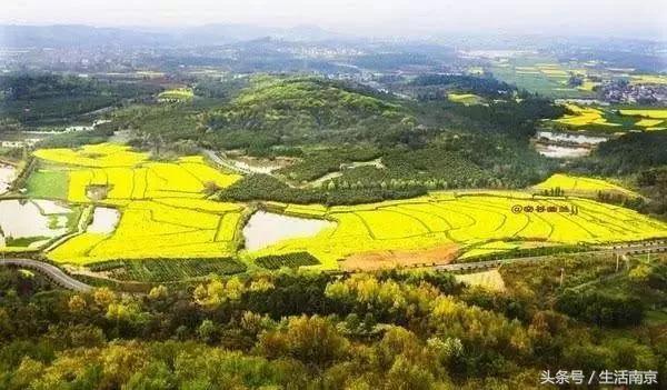 南京高淳区怎么样,南京高淳出的明星