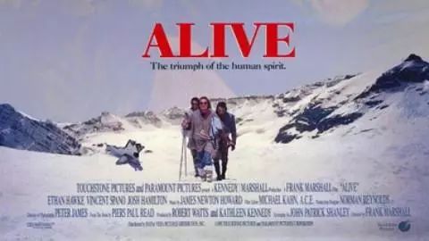 人类天生吃肉食吗,人类为何不适合吃肉