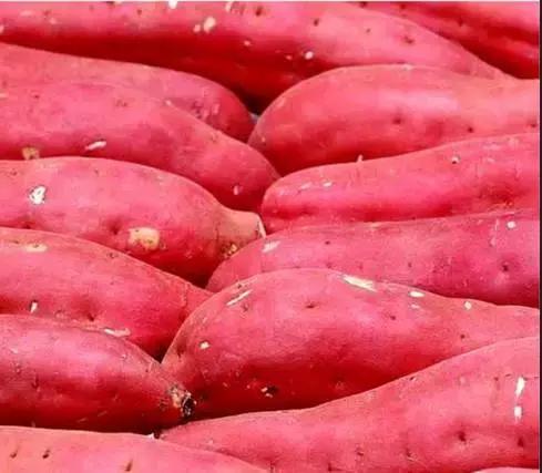 整个贵州省最好吃的东西,贵州铜仁美食排行榜前十名