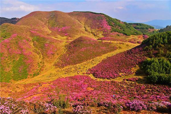 吉利吉沃通告诉你昆明周末踏青好去处！
