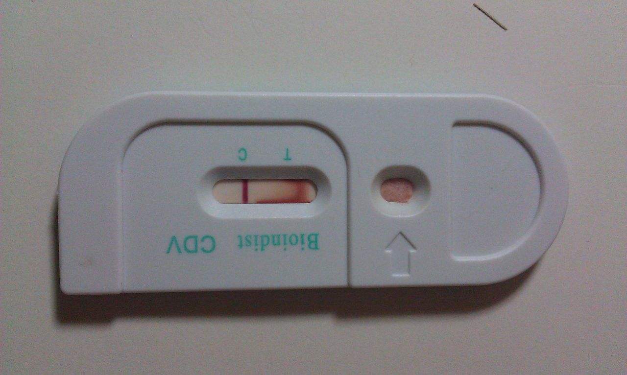 狗狗吃咸的咳嗽了怎么治疗,小牛犊拉稀咳嗽的快速治疗方法