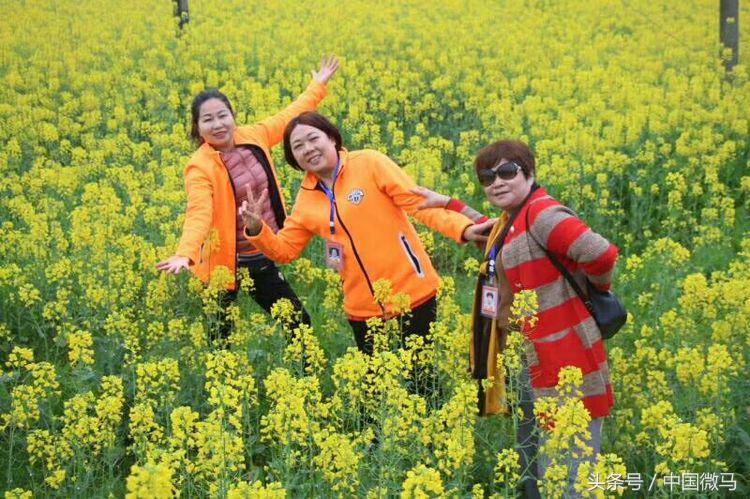 “健康微马，大美湘潭”-湘潭县微马协会为全域旅游振臂欢呼
