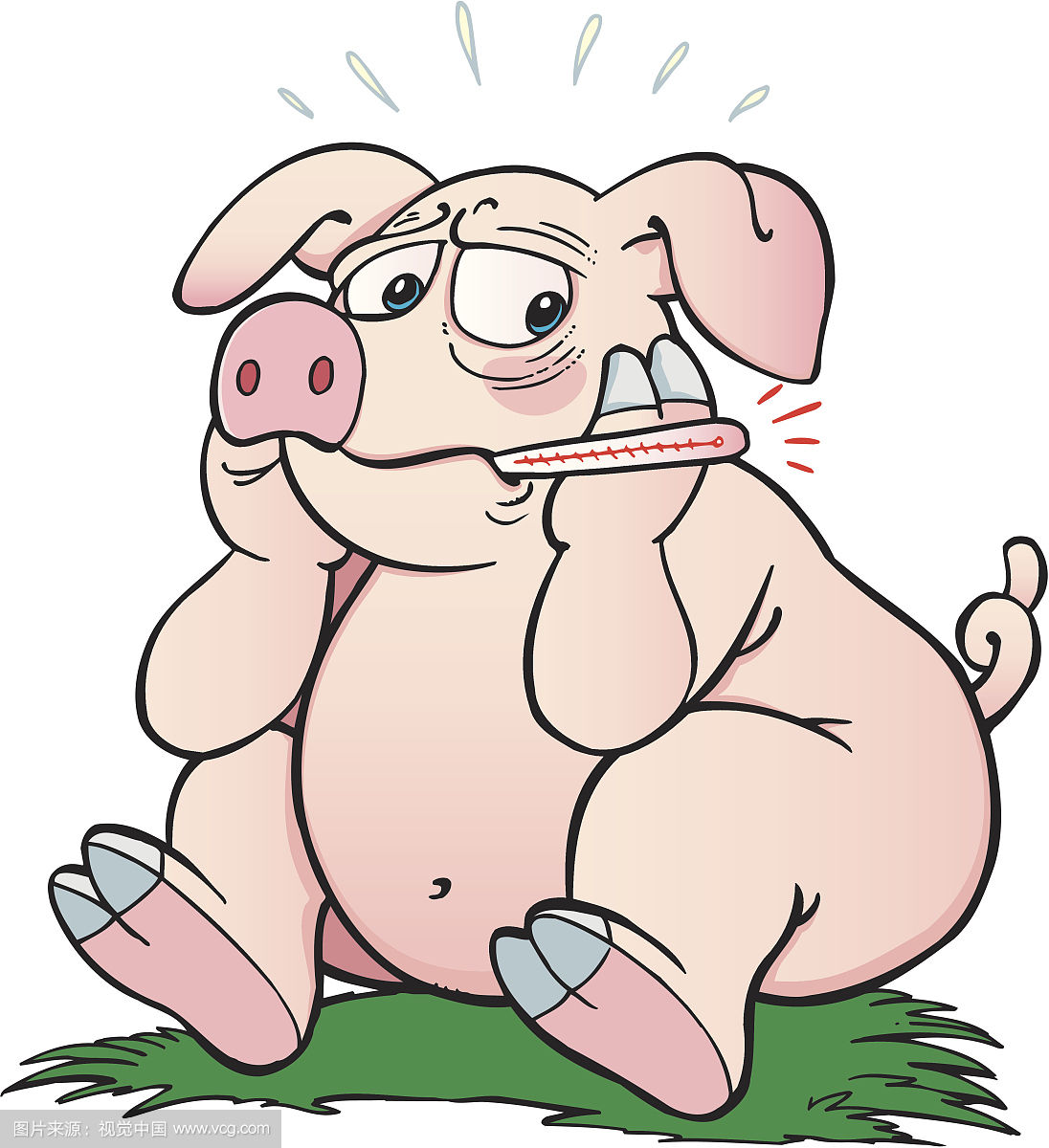 猪场基础病怎么治疗,猪场常见病的治疗方案