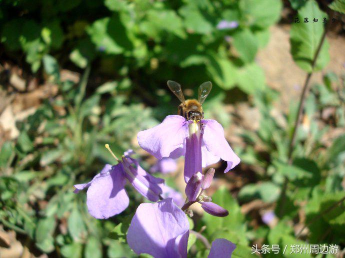 郑州人真正的后花园,郑州人少环境好的地方