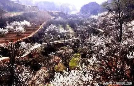 河南漯河自驾游必去十个景点,河南省内一日游景点自驾游