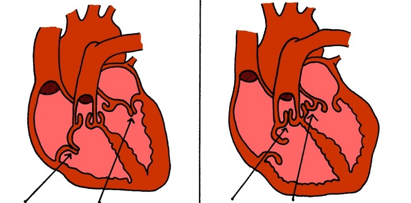 女医生脖子挂听诊器,为什么医生要把听诊器挂在脖子上