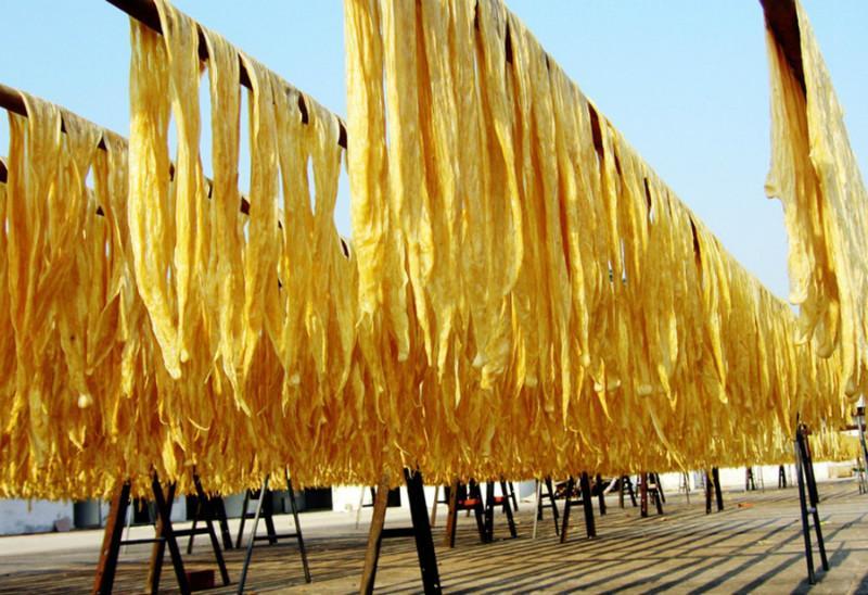 真假腐竹图片大全,真假腐竹如何辨别