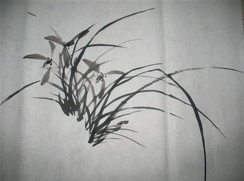 兰花画法一学就会,徐湛兰花画法步骤