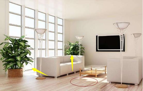 西户客厅西南角是明财位怎么布置,财位在客厅中间怎么摆放更好