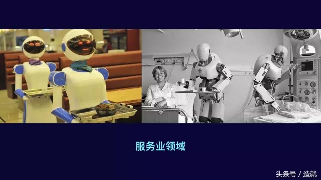 仿人机器人对对人类的影响,仿人机体机器人