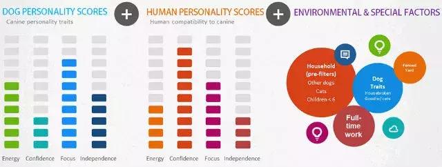 猫狗性格不合,猫狗之间关系不好的原因找到了