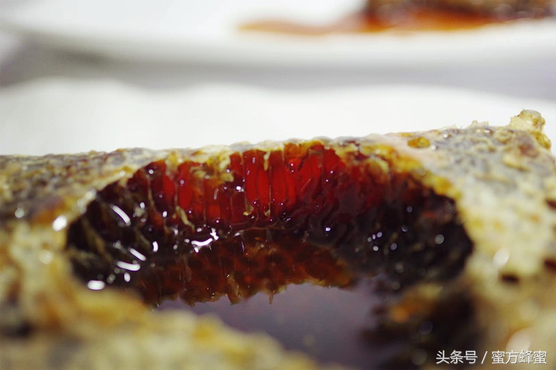 真假蜂蜜原蜜的鉴别方法,怎么辨别浓缩蜜和蜂蜜