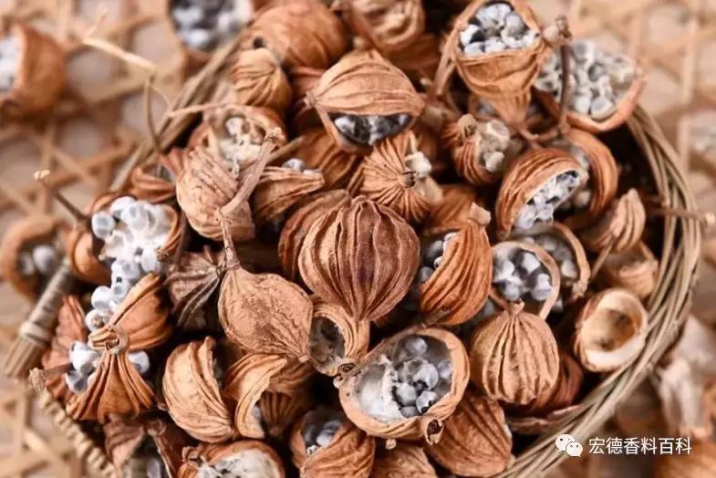 学做湖北油焖大虾,潜江晓飞歌油焖大虾香料配方