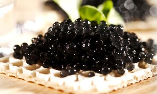 爆浆鱼子酱颗粒,大颗粒鱼籽合集